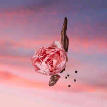 Cargar imagen en el visor de la galería, LOUIS VUITTON - LES SABLES ROSES - UNISEX